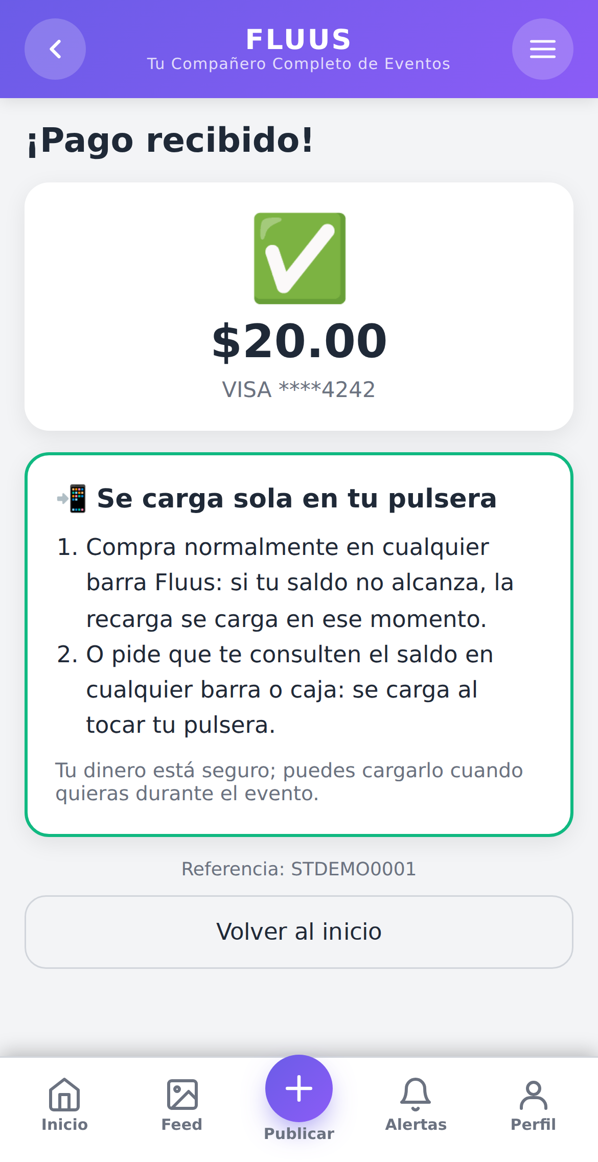 fluus.app showing a paid online top-up that will load onto the wristband at the next tap
